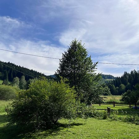 Drewniany Domek BB Nad Rzeką Powrożnik Zewnętrze zdjęcie