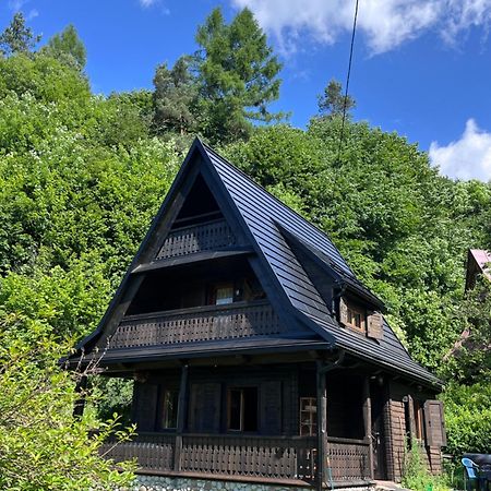 Drewniany Domek BB Nad Rzeką Powrożnik Zewnętrze zdjęcie