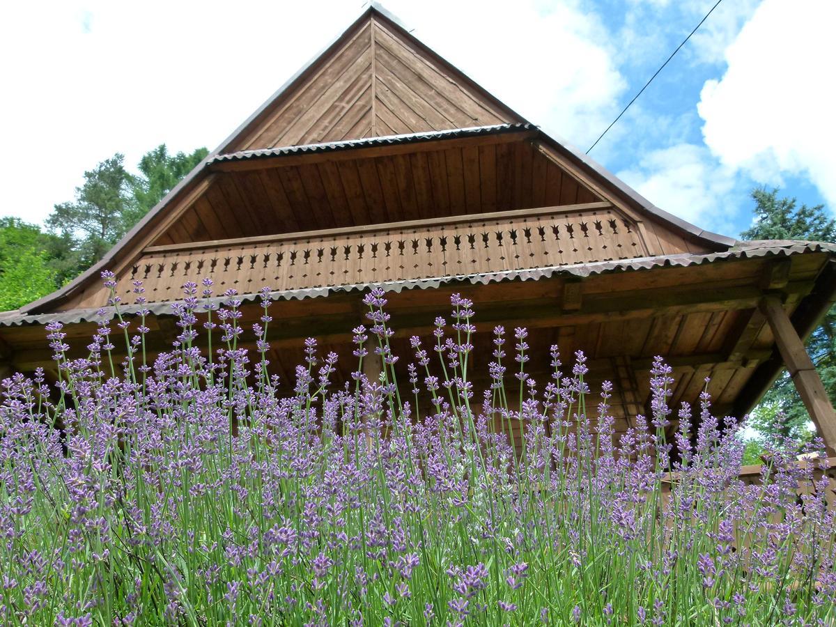 Drewniany Domek BB Nad Rzeką Powrożnik Zewnętrze zdjęcie